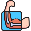 فيتامين D فيتامين D