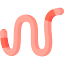 للديدان للديدان